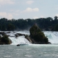 DSC00921