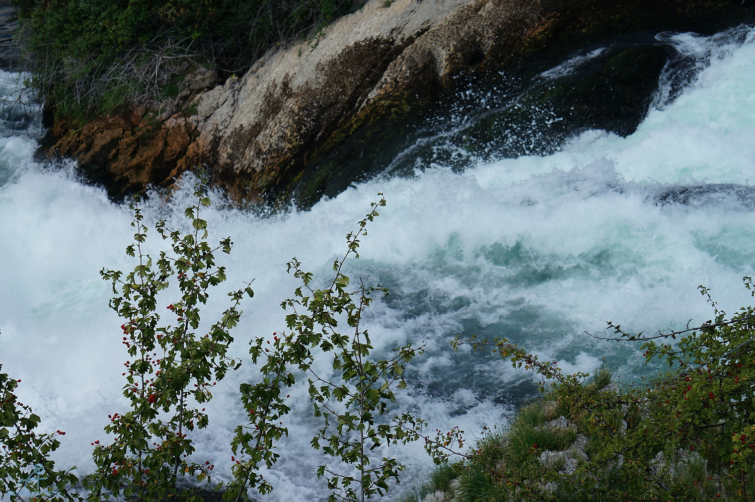 DSC00948