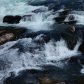 DSC00950