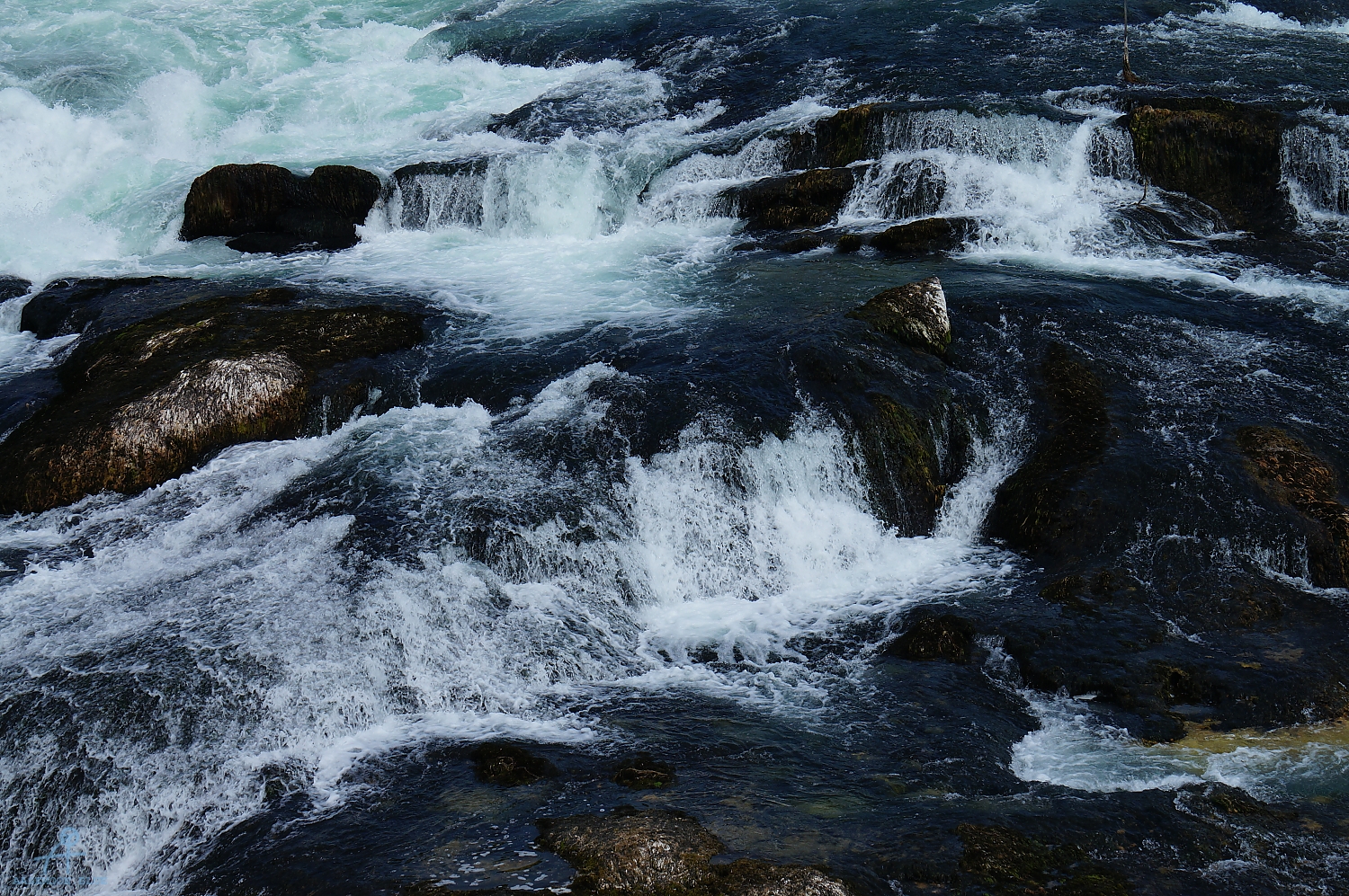 DSC00950