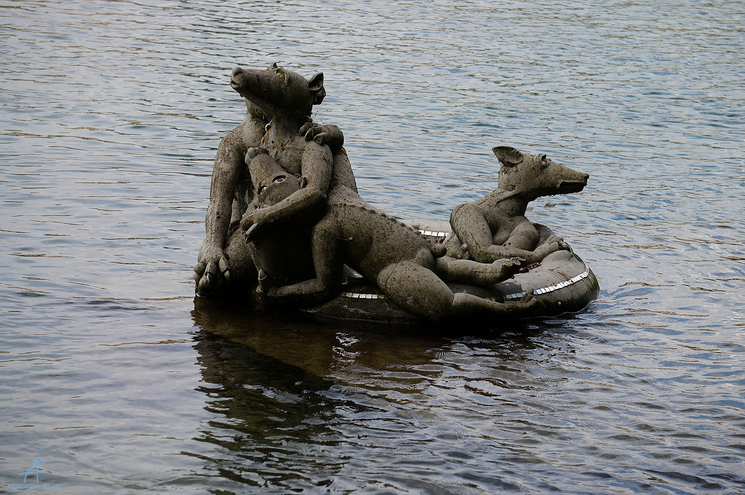 DSC00980