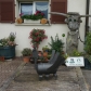 DSC00581