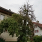 DSC00582