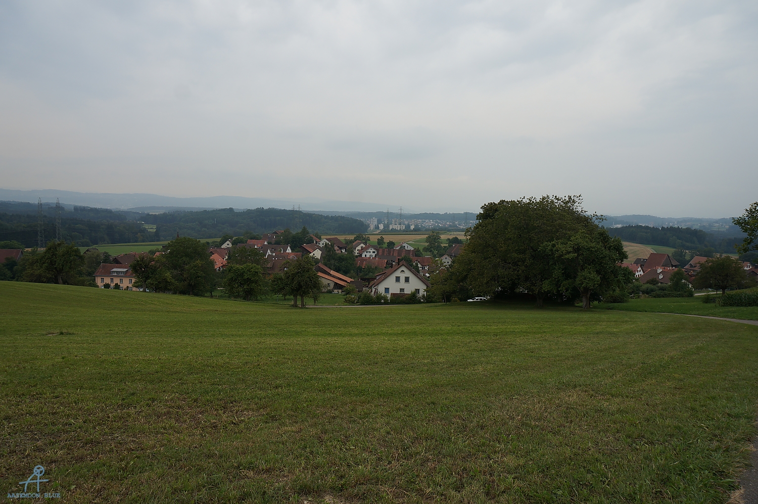 DSC00585