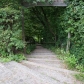 DSC00595
