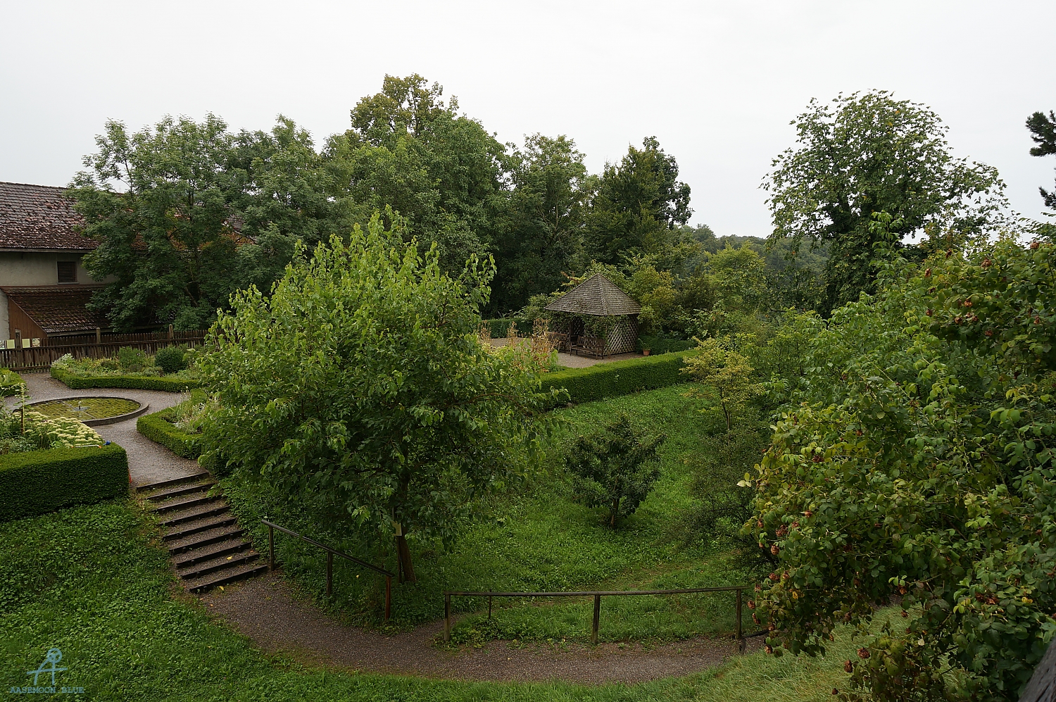 DSC00703