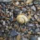 DSC00705