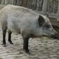 DSC00766