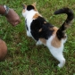 DSC00772