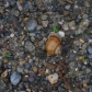 DSC00796