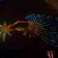 DSC09820