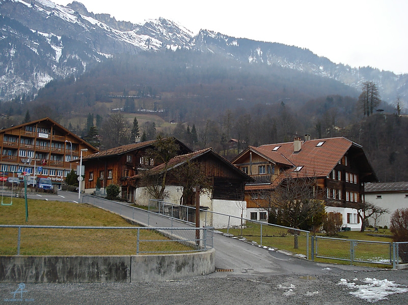 DSC01567