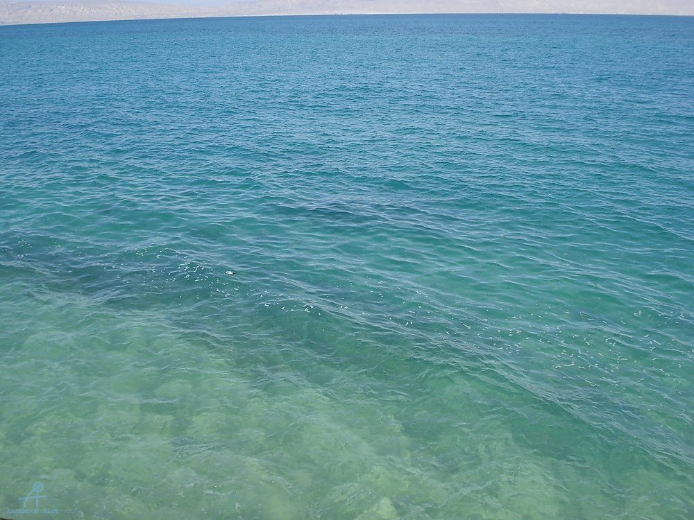 DSC04347