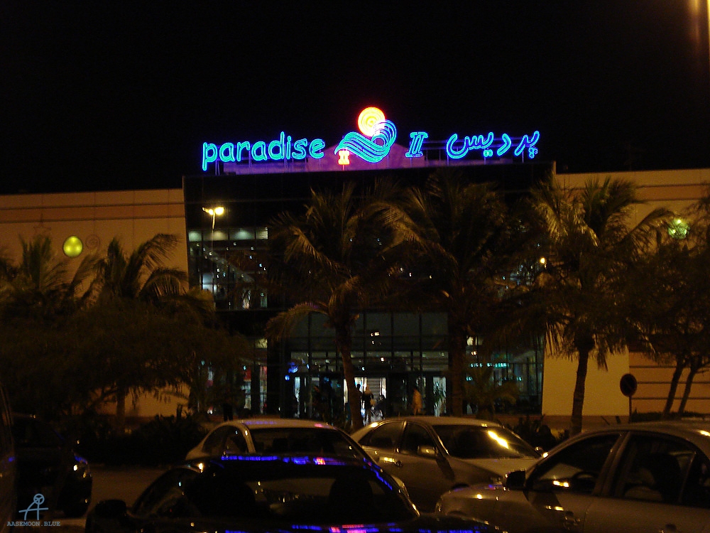 DSC04102