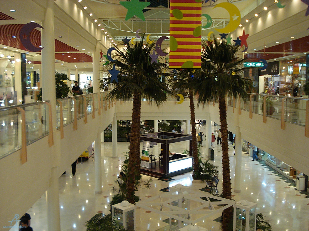 DSC04106