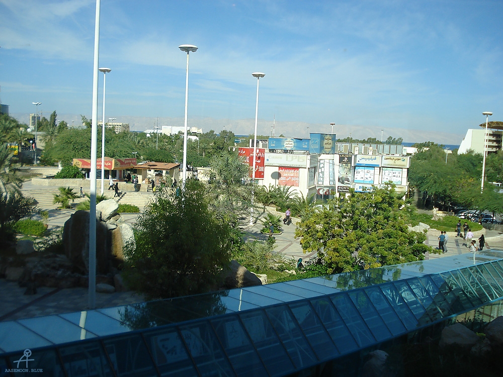 DSC04154