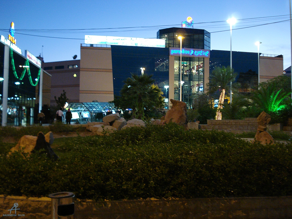 DSC04159