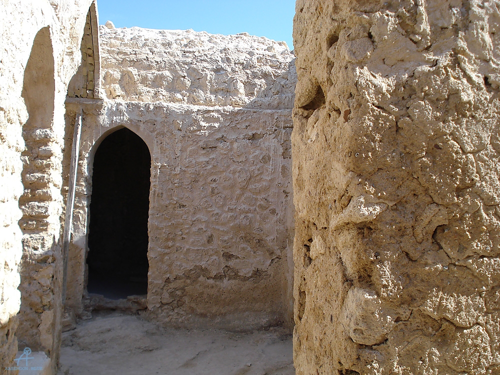 DSC04245