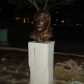 DSC04853