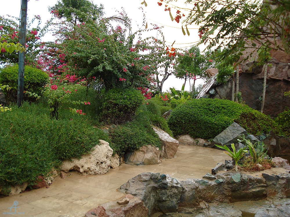 DSC04923