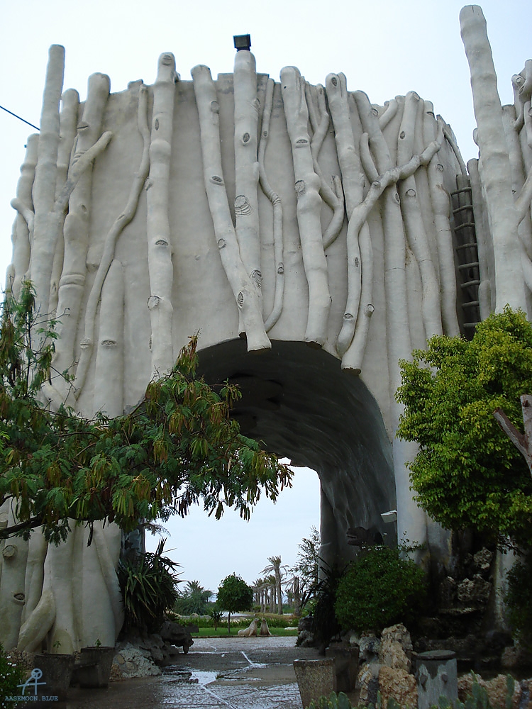 DSC04935