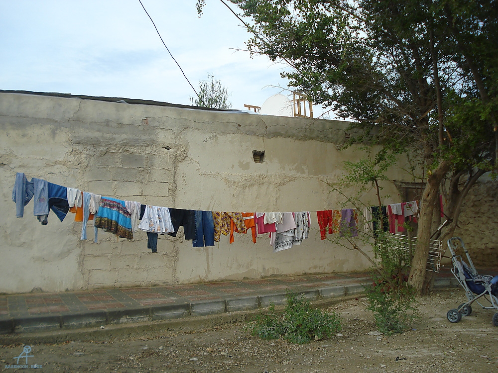 DSC04994