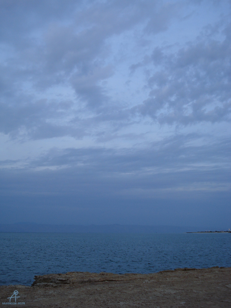 DSC04995