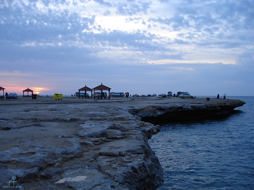 DSC05016