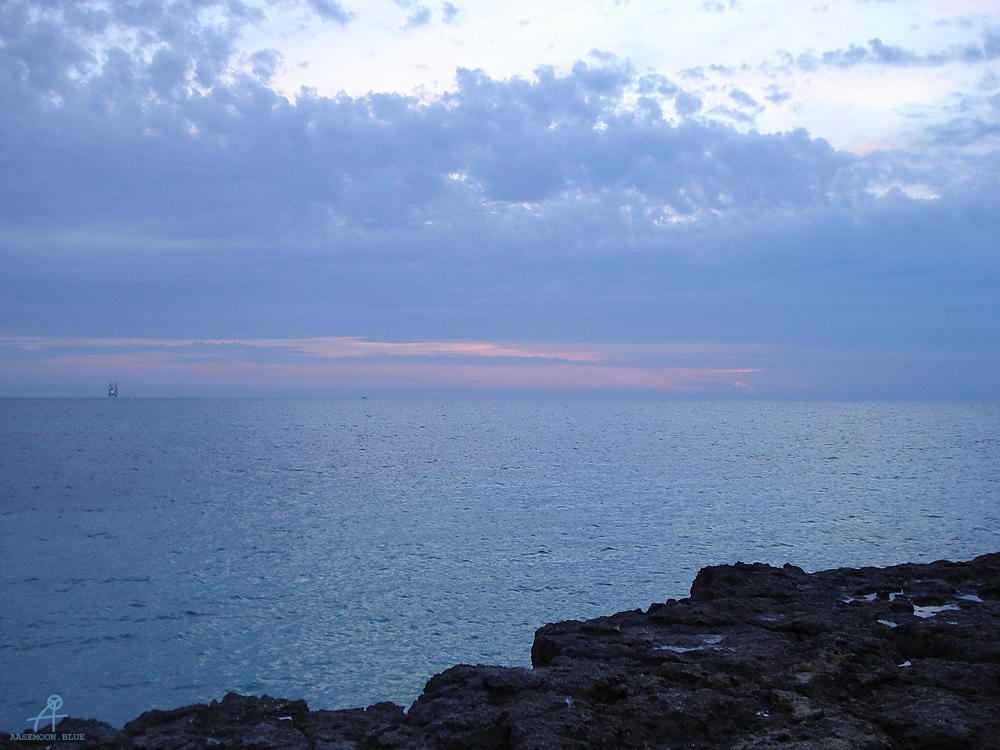 DSC05029