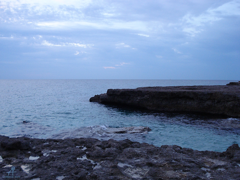 DSC05034