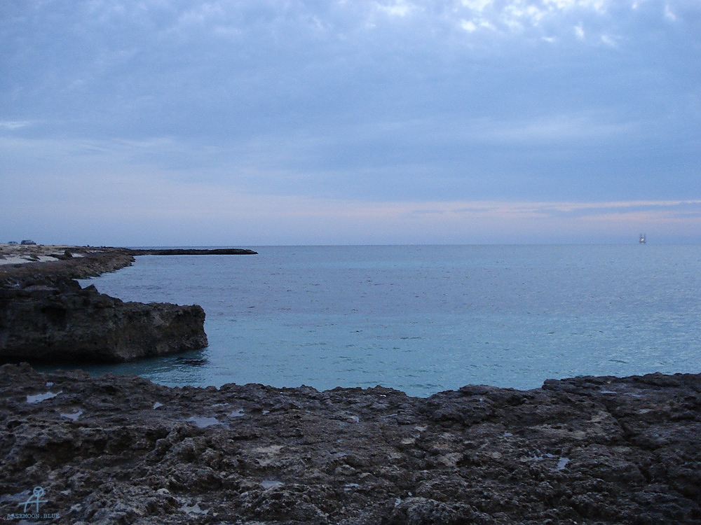 DSC05039