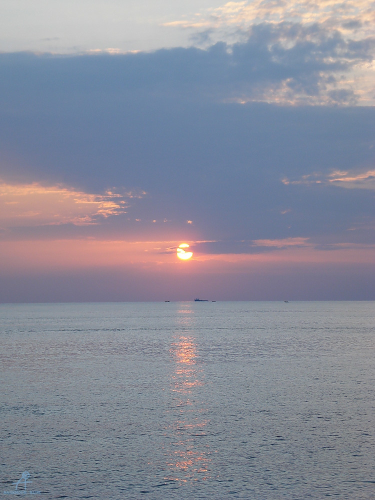 DSC04725