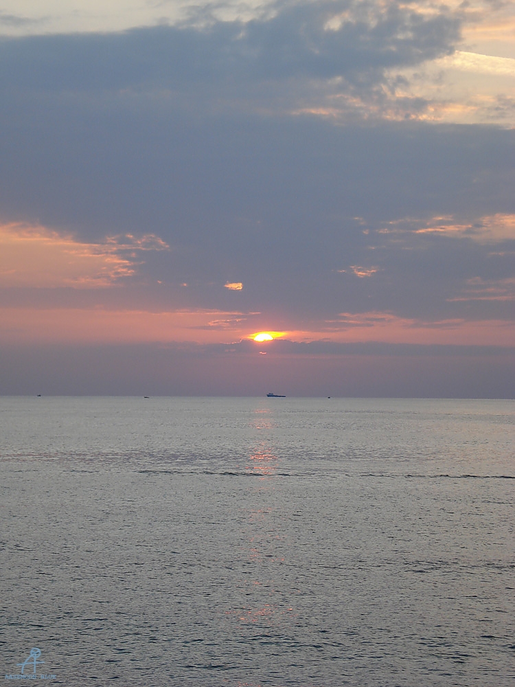 DSC04736
