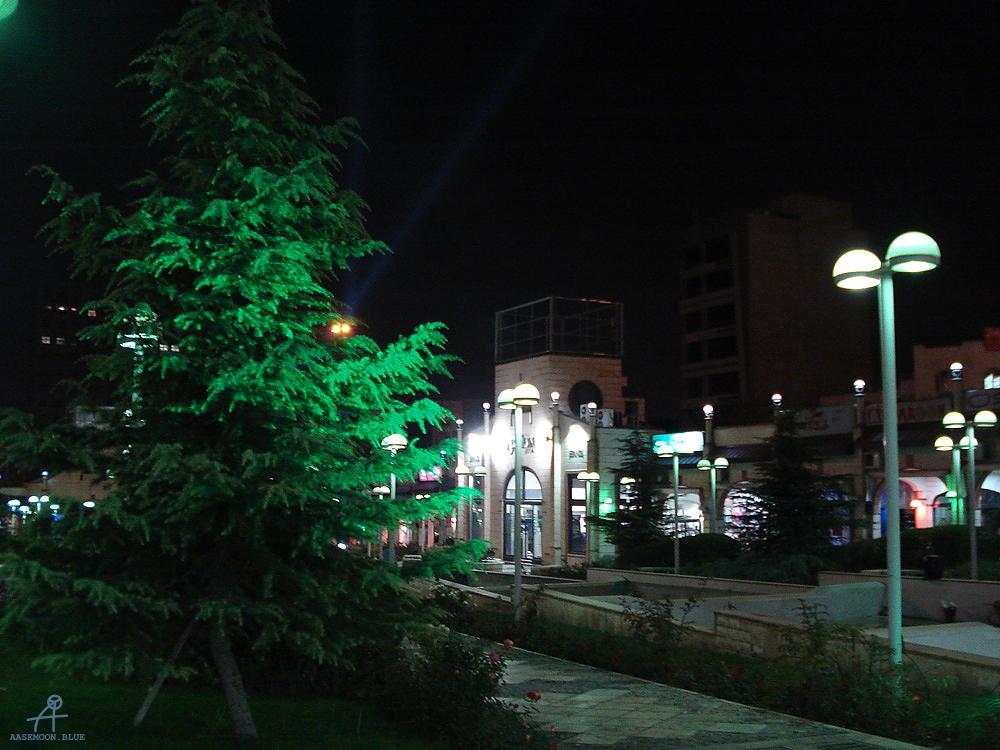 DSC04030