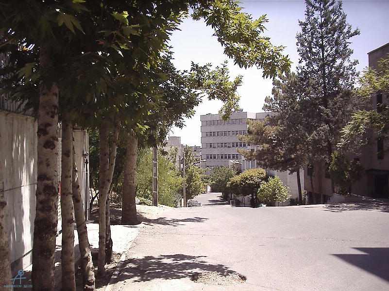 Tehran (228)