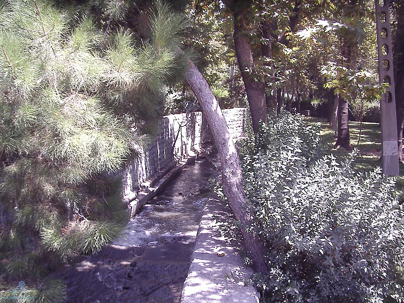 Tehran (233)