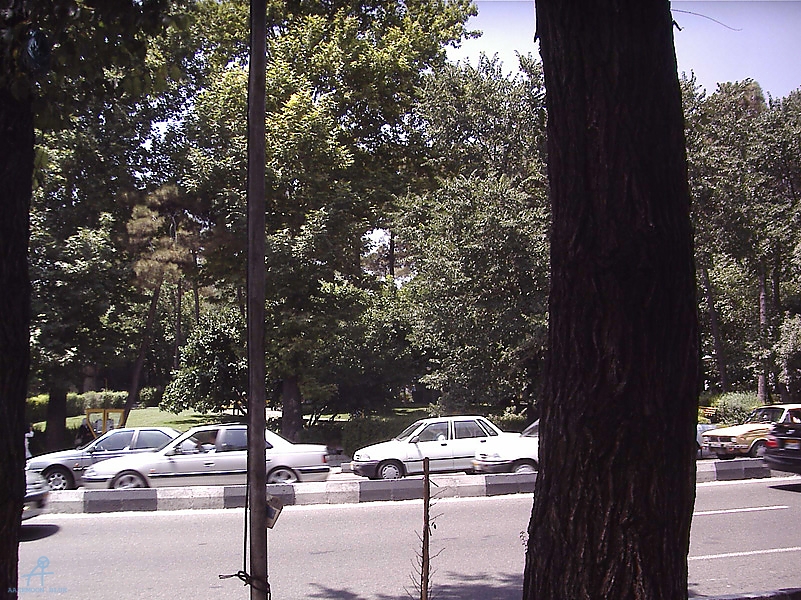 Tehran (245)