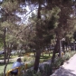 Tehran (254)