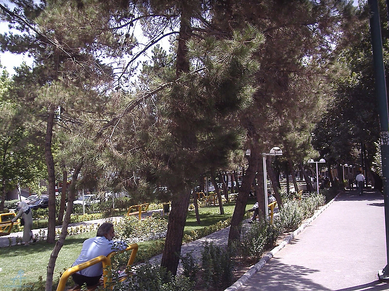 Tehran (254)