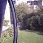 Tehran (377)