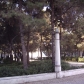 Tehran (381)
