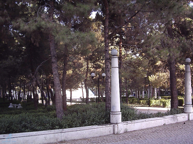 Tehran (381)
