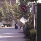 Tehran (382)