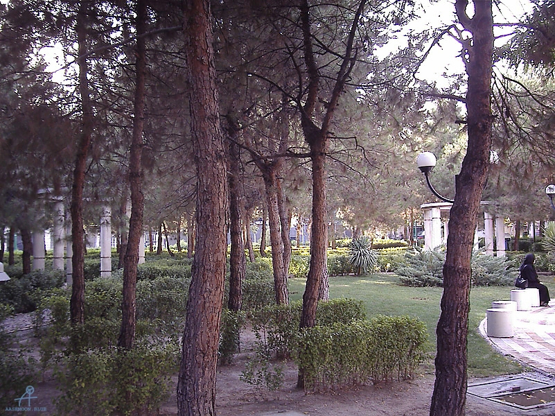 Tehran (383)