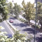 Tehran (447)
