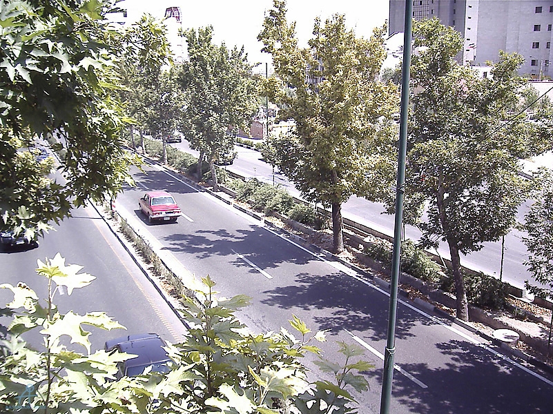 Tehran (447)