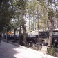 Tehran (476)