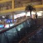 Tehran (478)