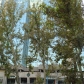 DSC02378