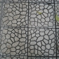 DSC02969
